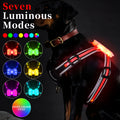 Nylon dog lead with luminous seven-colour strap and attached charging cable.