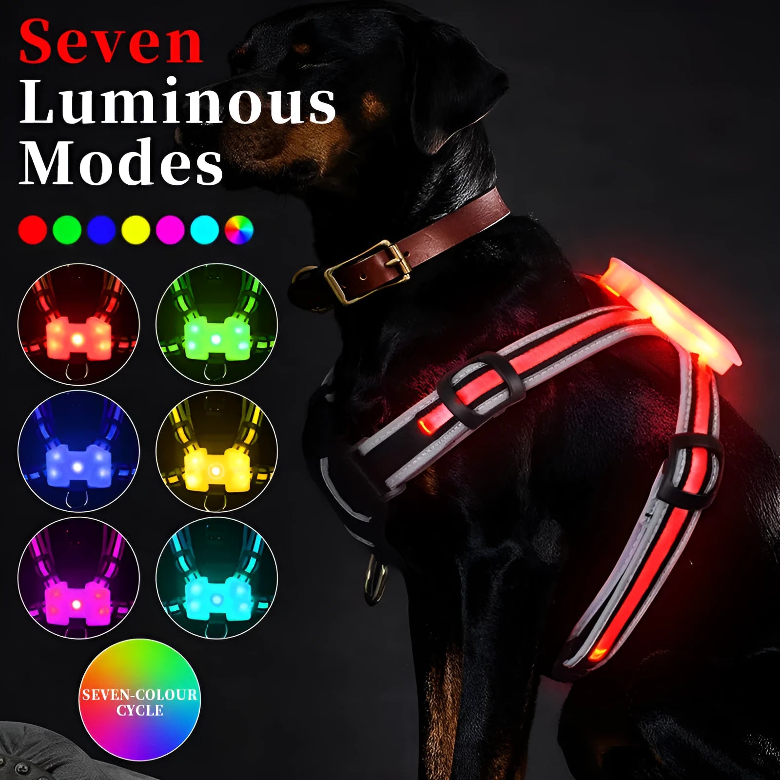 Nylon dog lead with luminous seven-colour strap and attached charging cable.