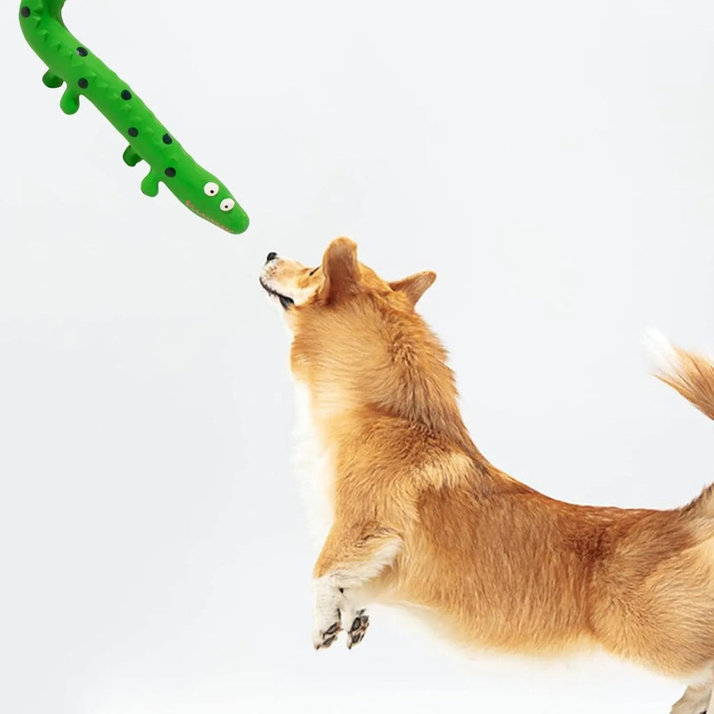 Green cartoon lizard shaped latex dog chew toy with squeaker on a white background
