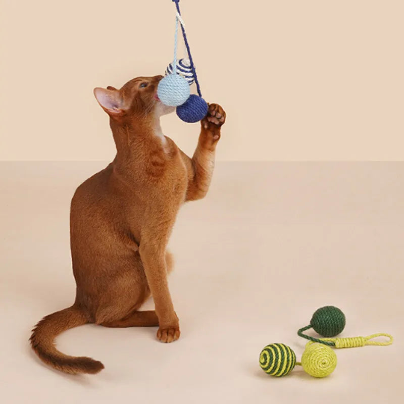 Cat toy set with teaser stick, bite-resistant catnip ball, and interactive toys in multi-colours