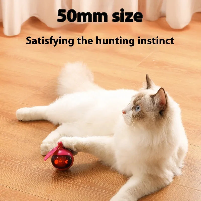 Green plastic elastic self-hi relief cat toy on floor