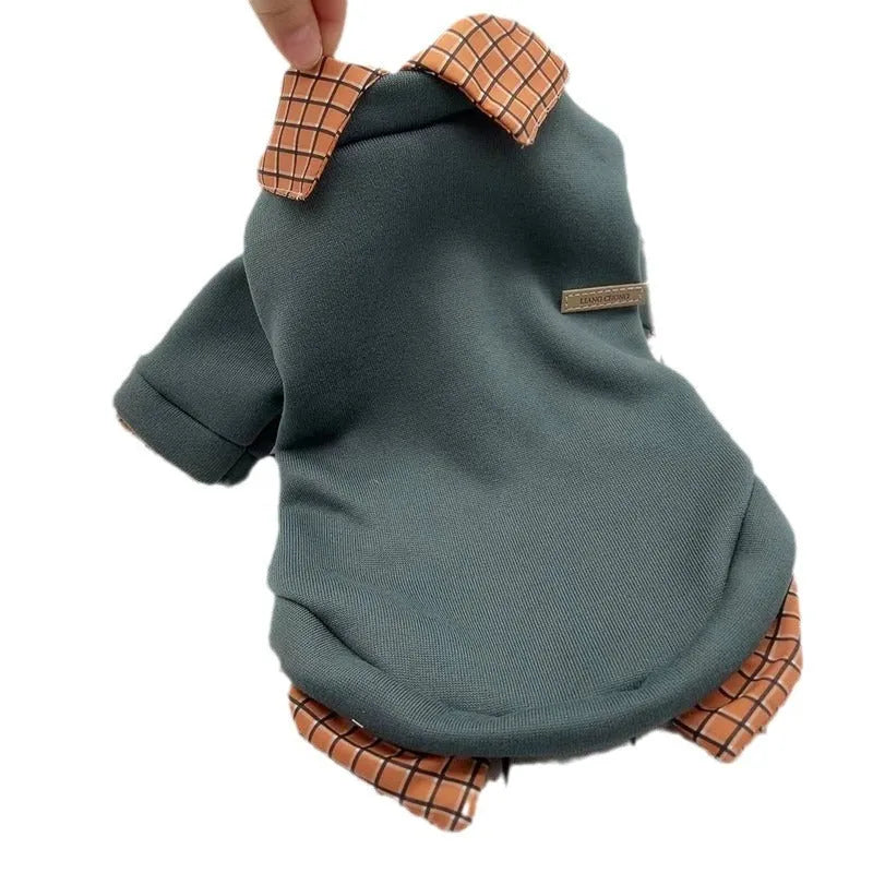 Grey dog jumper with detachable collar hoodie on small breed pet showing two-piece construction