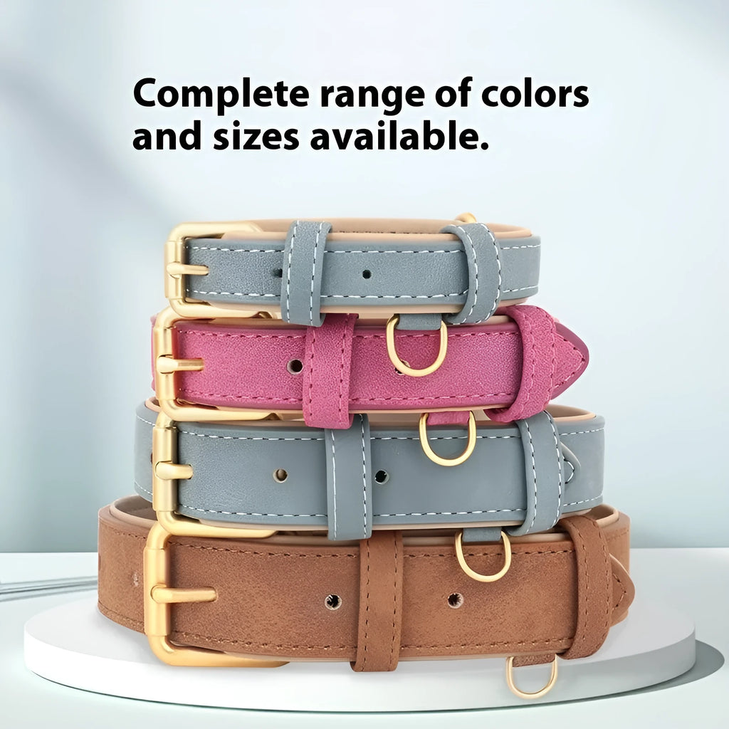 Double-layer leather dog collar and lead set in rose red, brown, or blue for small to extra-large dogs