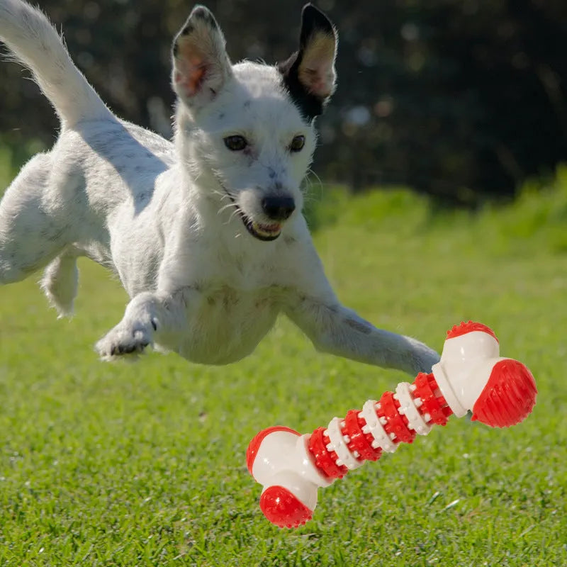Bone shaped interactive dog toy for small breeds with treat holder in blue orange or red