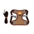 Purple adjustable dog haulage rope harness with chest strap shown on a medium-sized dog.