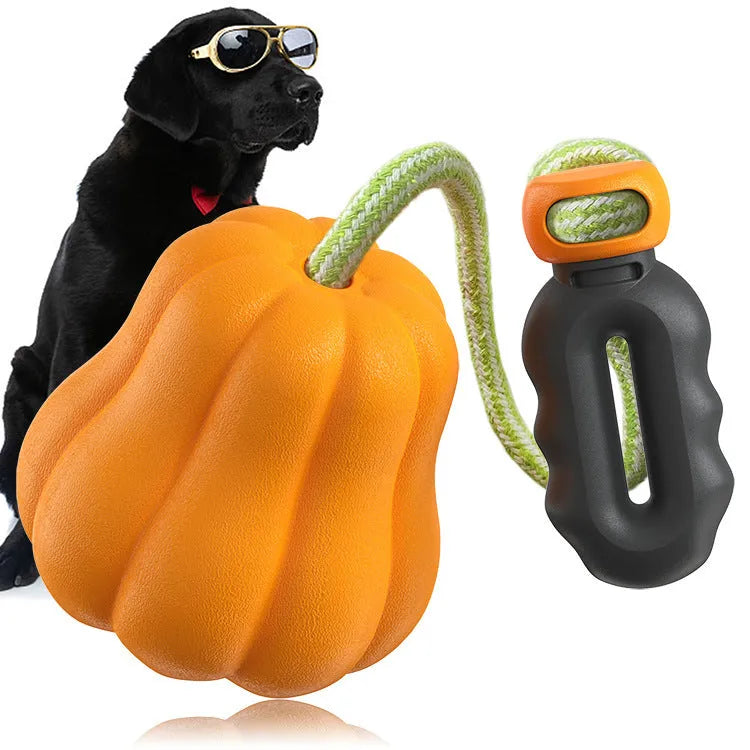 Bite Molar orange plastic pumpkin dog toy with rope attached for outdoor chewing and fetch games
