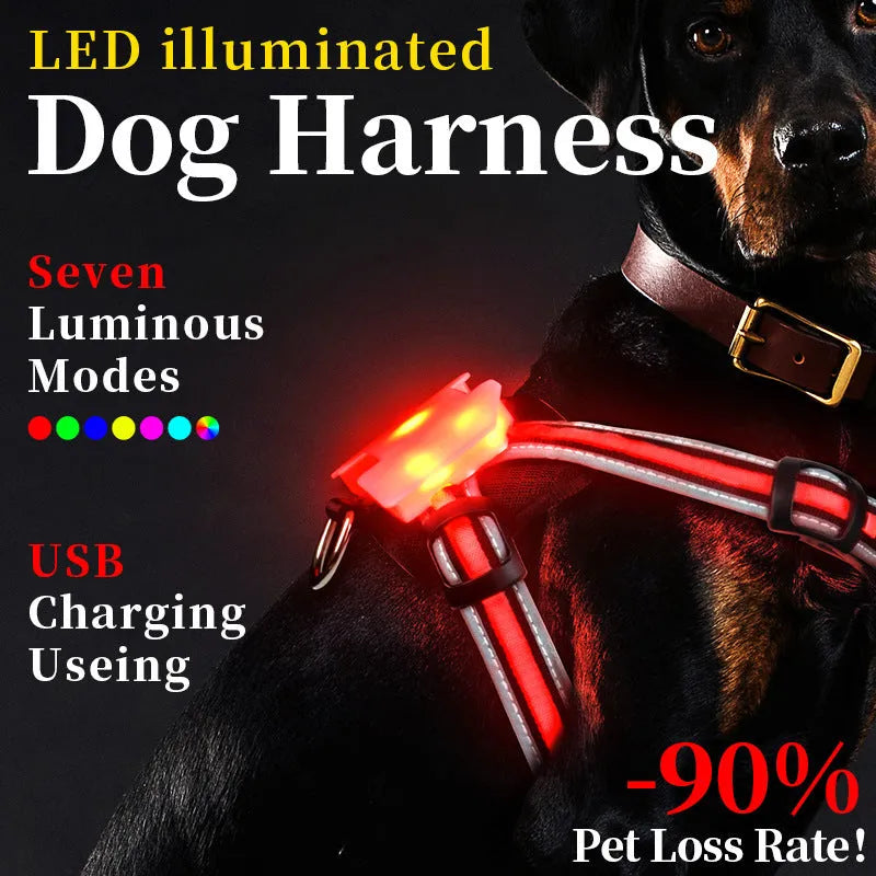Nylon dog lead with luminous seven-colour strap and attached charging cable.