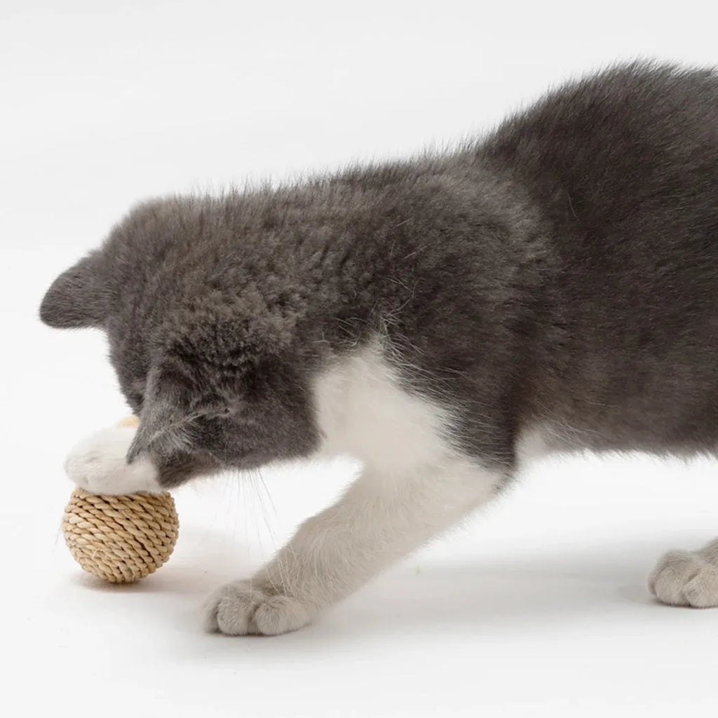 Two cat toy balls: hollow rattan sphere and faux feather ball with bell