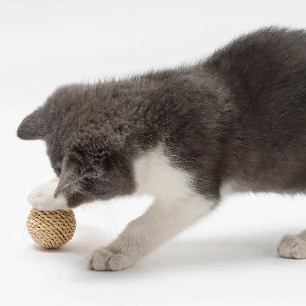 Two cat toy balls: hollow rattan sphere and faux feather ball with bell