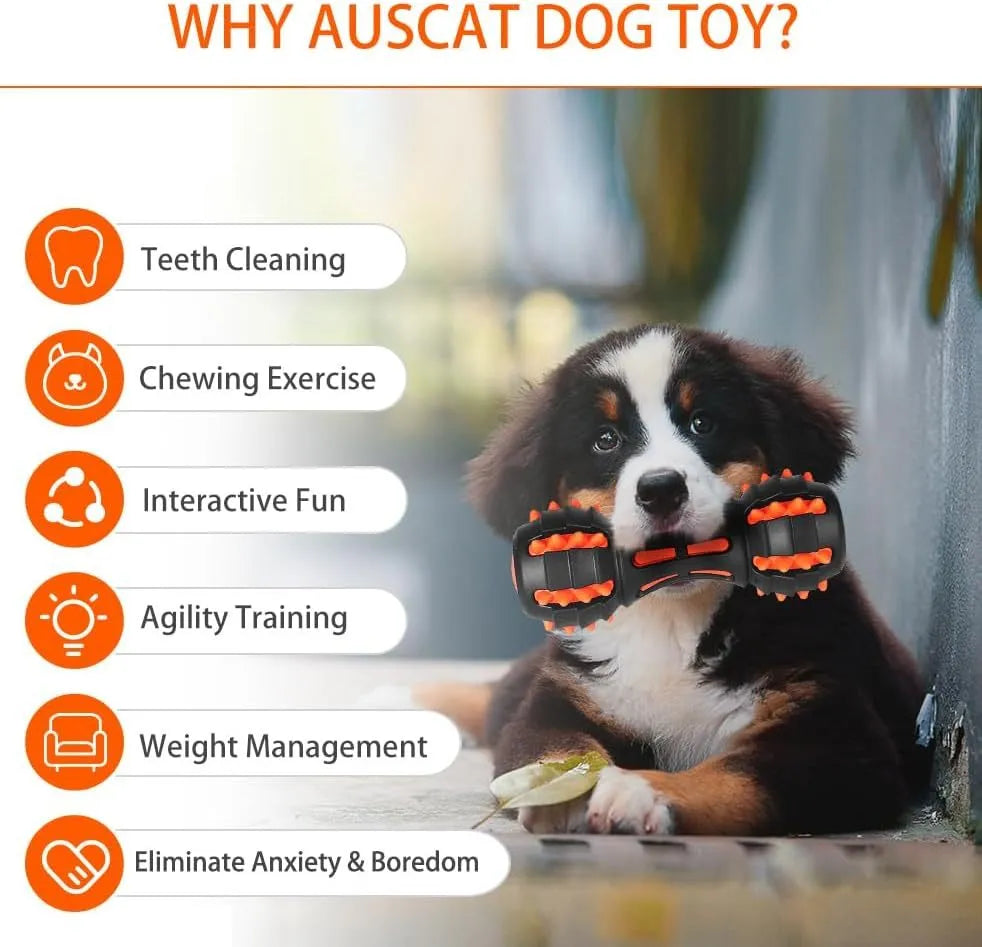 Red rubber dumbbell-shaped dog chew toy with double-layer construction for aggressive chewers