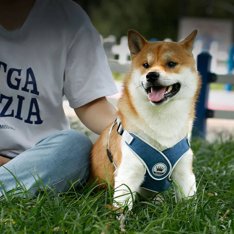 Adjustable mesh dog harness with reflective chest strap in multiple colour options