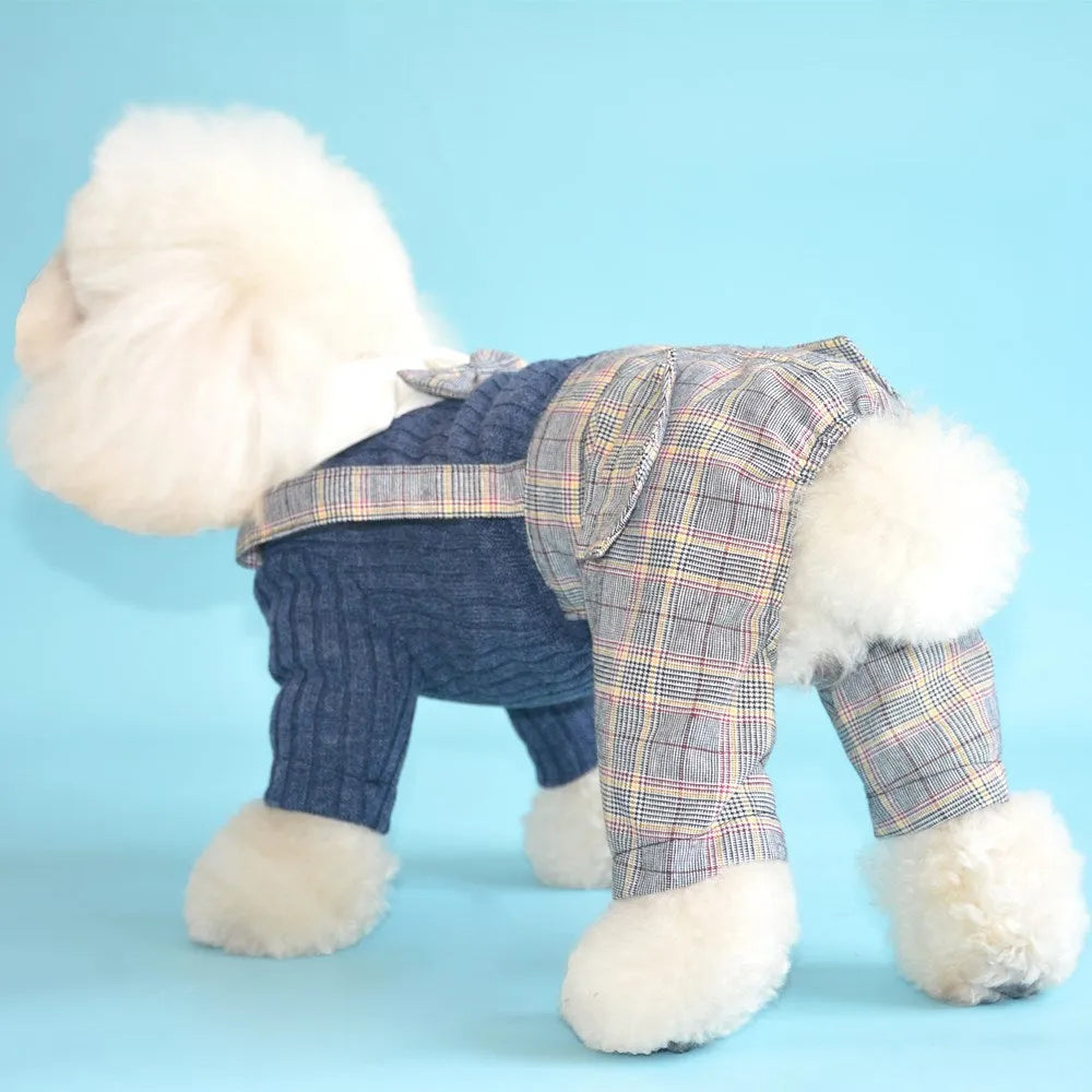 Cotton dog shirt suit for small pets in dark blue and orange colour options