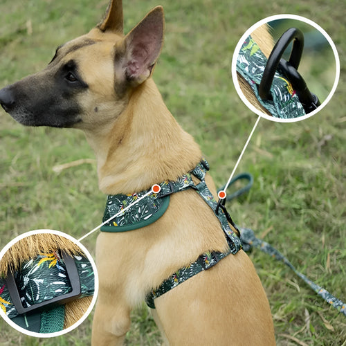 Six-piece dog harness set with adjustable vest, haulage rope, collar, waste bag, bow tie and triangular binder