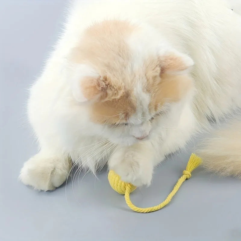 Colourful cat toy ball with rope tail and internal jingle bell in two size options