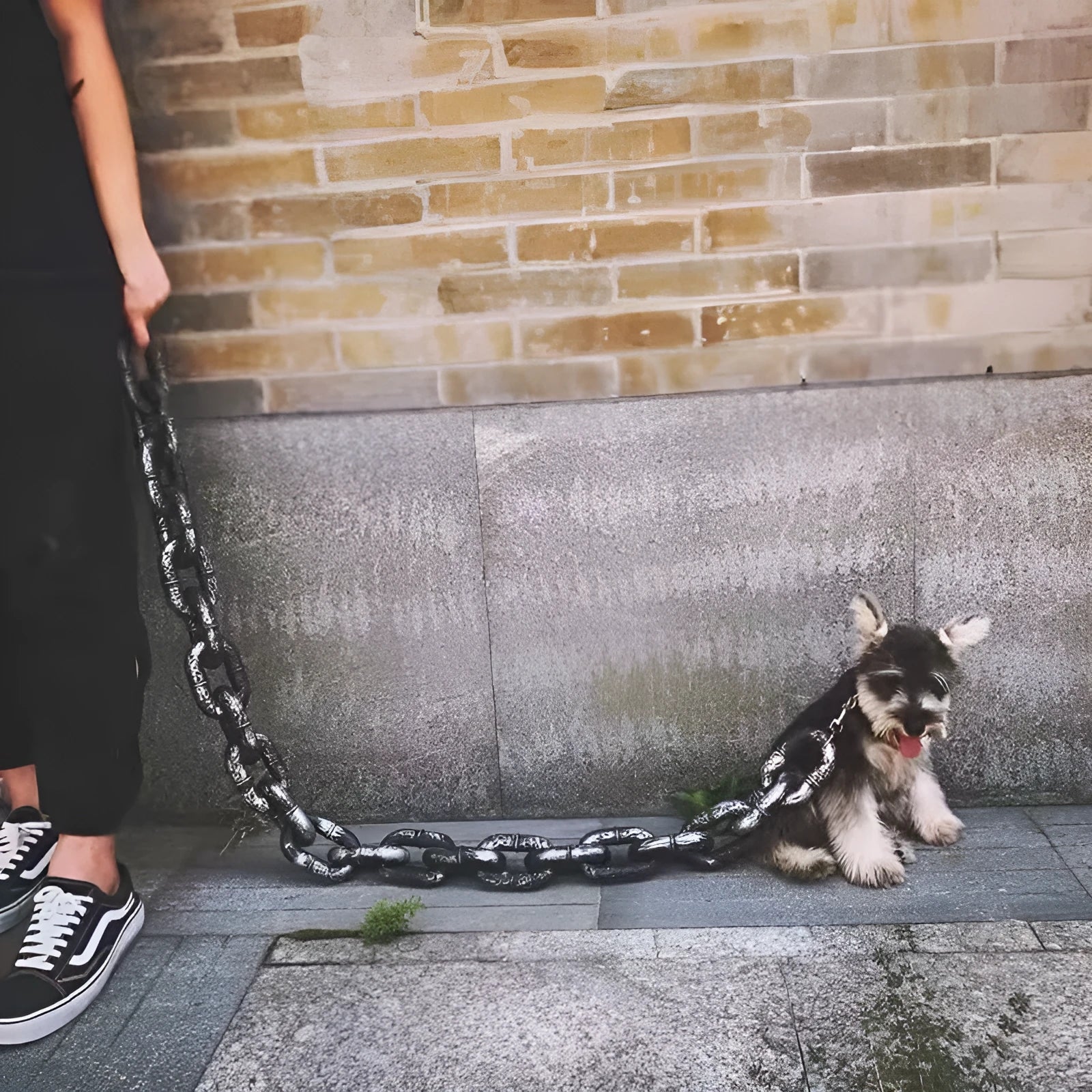 Simulated metal dog leash prop in bronze, antique silver or black colour for video production