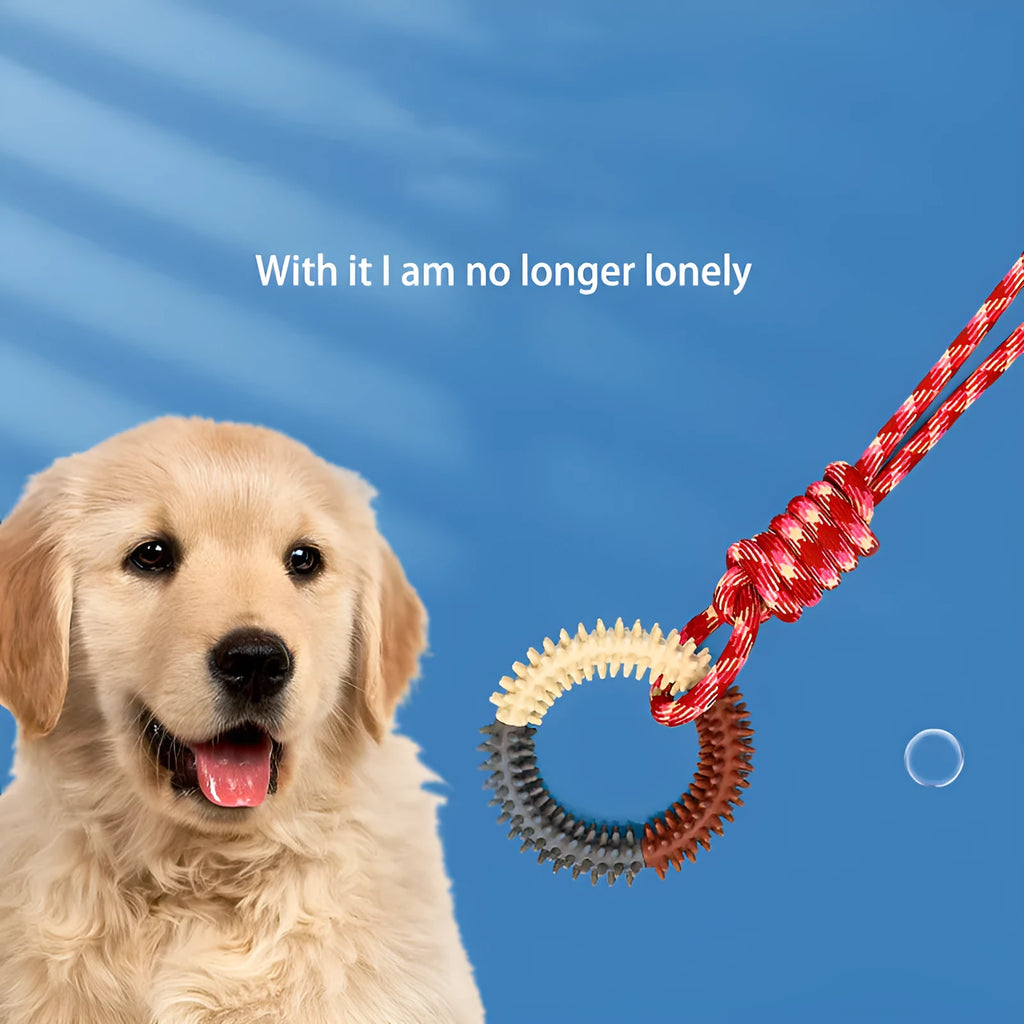 Colourful blue, red, and rose red braided rope dog chew and tug toy, 43 cm long.
