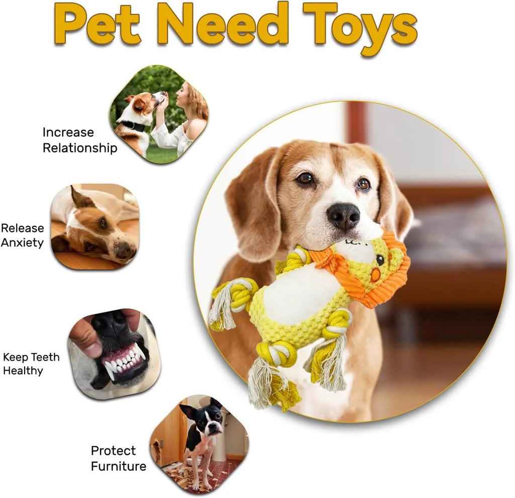 Plush squeaky dog toys assortment with lion and monkey designs for medium large dogs