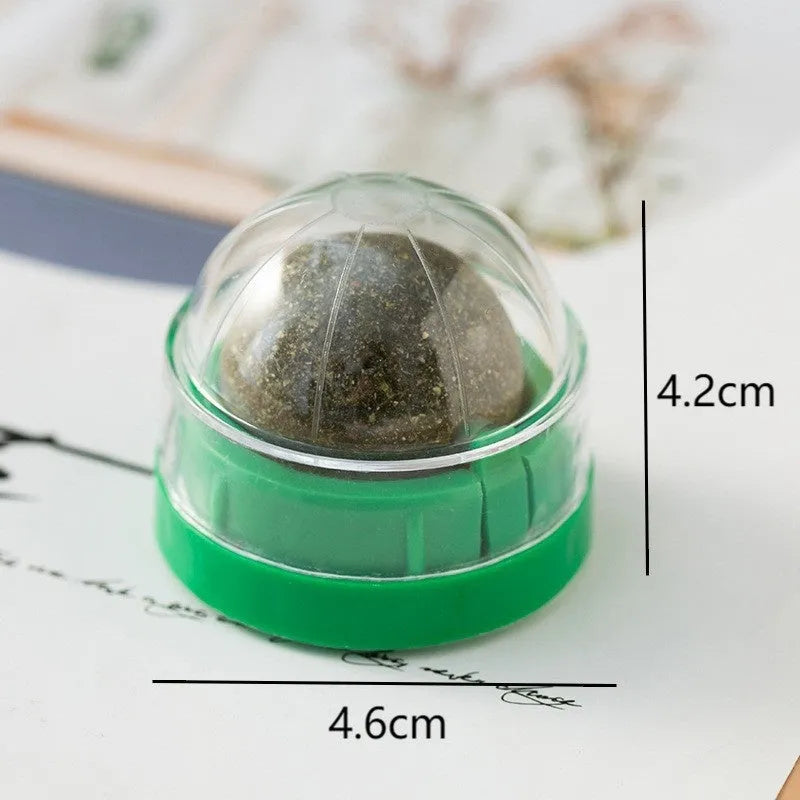 Plastic catnip ball toy in assorted colours with a textured surface for feline teeth cleaning.