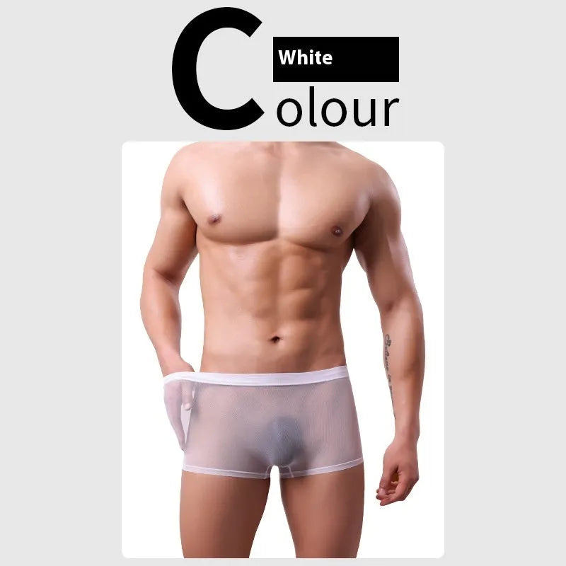 Men's thin sheer mesh boxer briefs in multiple colours on a size chart.