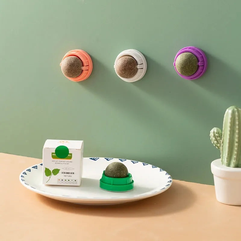Plastic catnip ball toy in assorted colours with a textured surface for feline teeth cleaning.