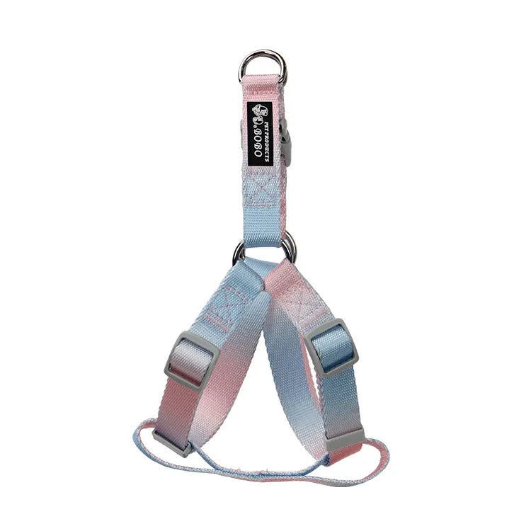 Gradient colour nylon dog leash and harness set shown in pink and blue combination.