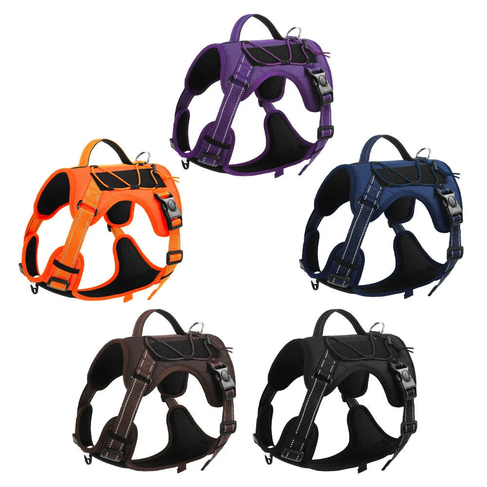 Orange reflective dog harness with black hand-holding rope shown on a dog.