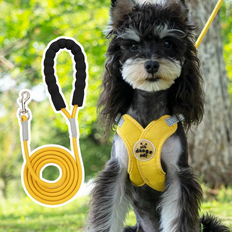 A pink dog vest harness connected to a matching hand-holding lead on a white background.