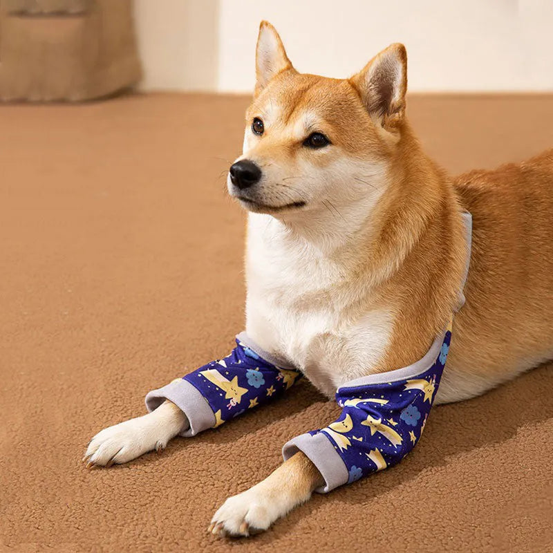 Blue dog knee protector pad with extra-thick elbow padding and matching scarf on a medium dog