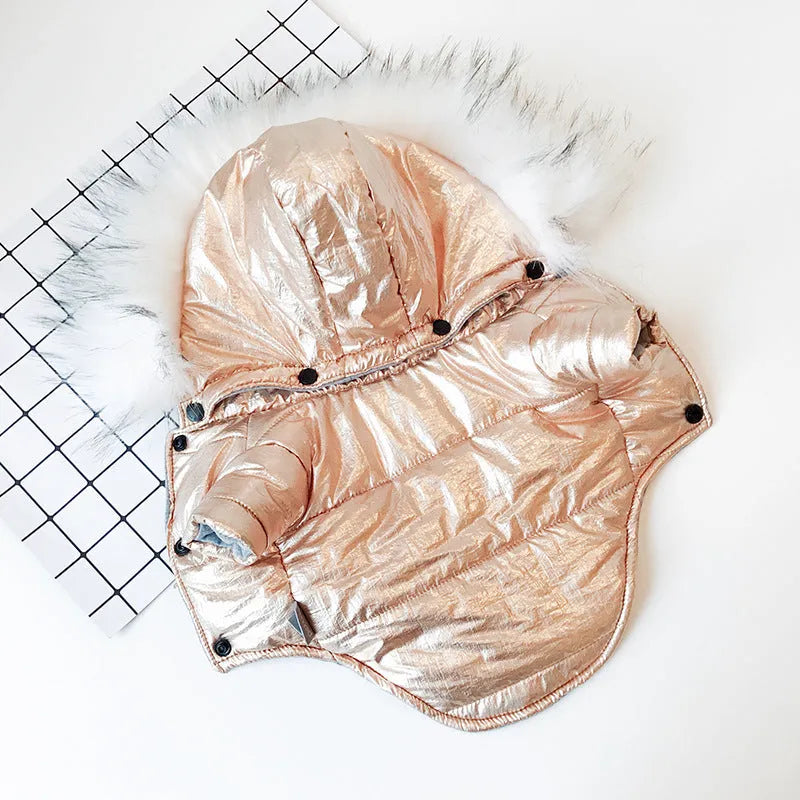 Padded winter dog coat in gold cotton, shown on a dog, size M, with neck and chest measurement details