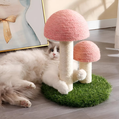 Pink mushroom-shaped cat scratching post with natural sisal caps for kittens and small cats