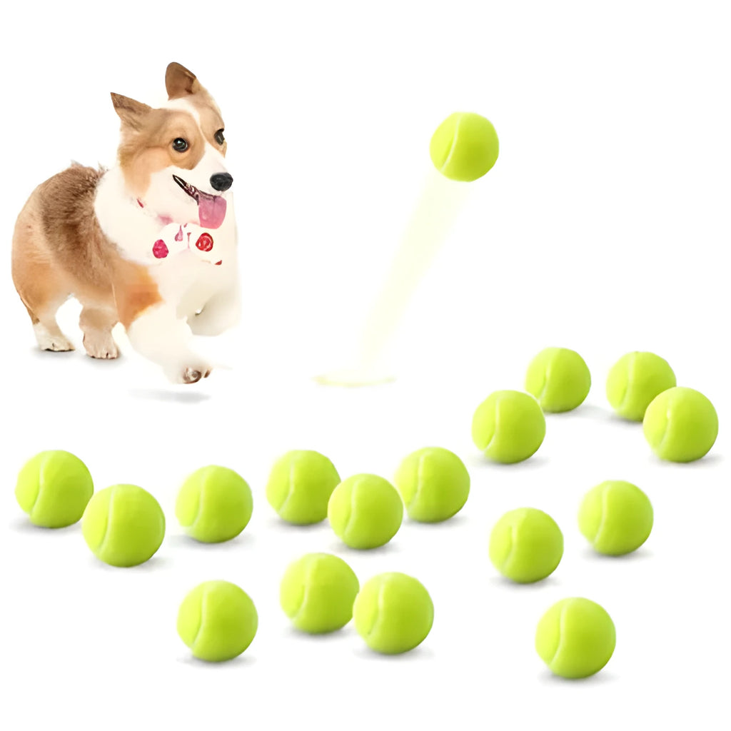 6.3 cm rubber tennis ball for dogs in assorted bright colours including pink, blue, yellow, green and orange
