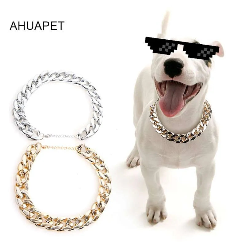 Gold colour chain dog collar with buckle for small to medium sized dogs on adjustable setting