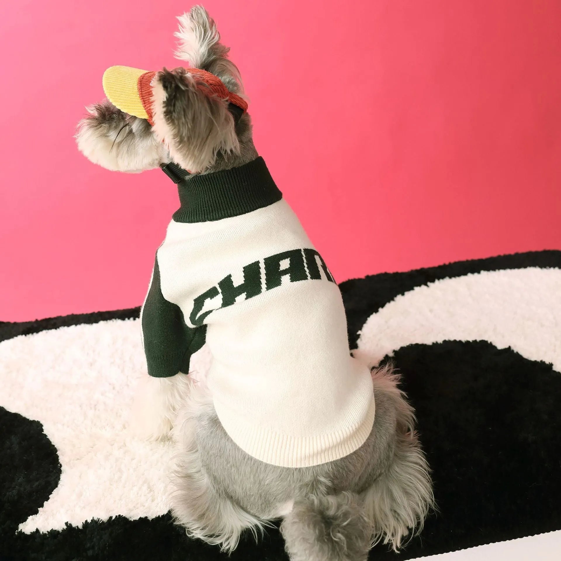Dark green wool dog cardigan in casual sports sweater style for pet clothing