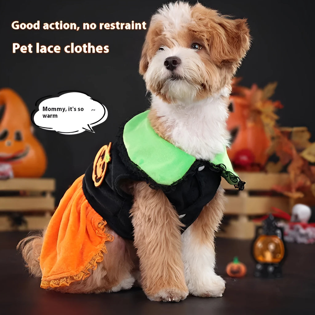 Small dog wearing a orange crystal velvet Halloween pumpkin skirt costume with green leaf accents.