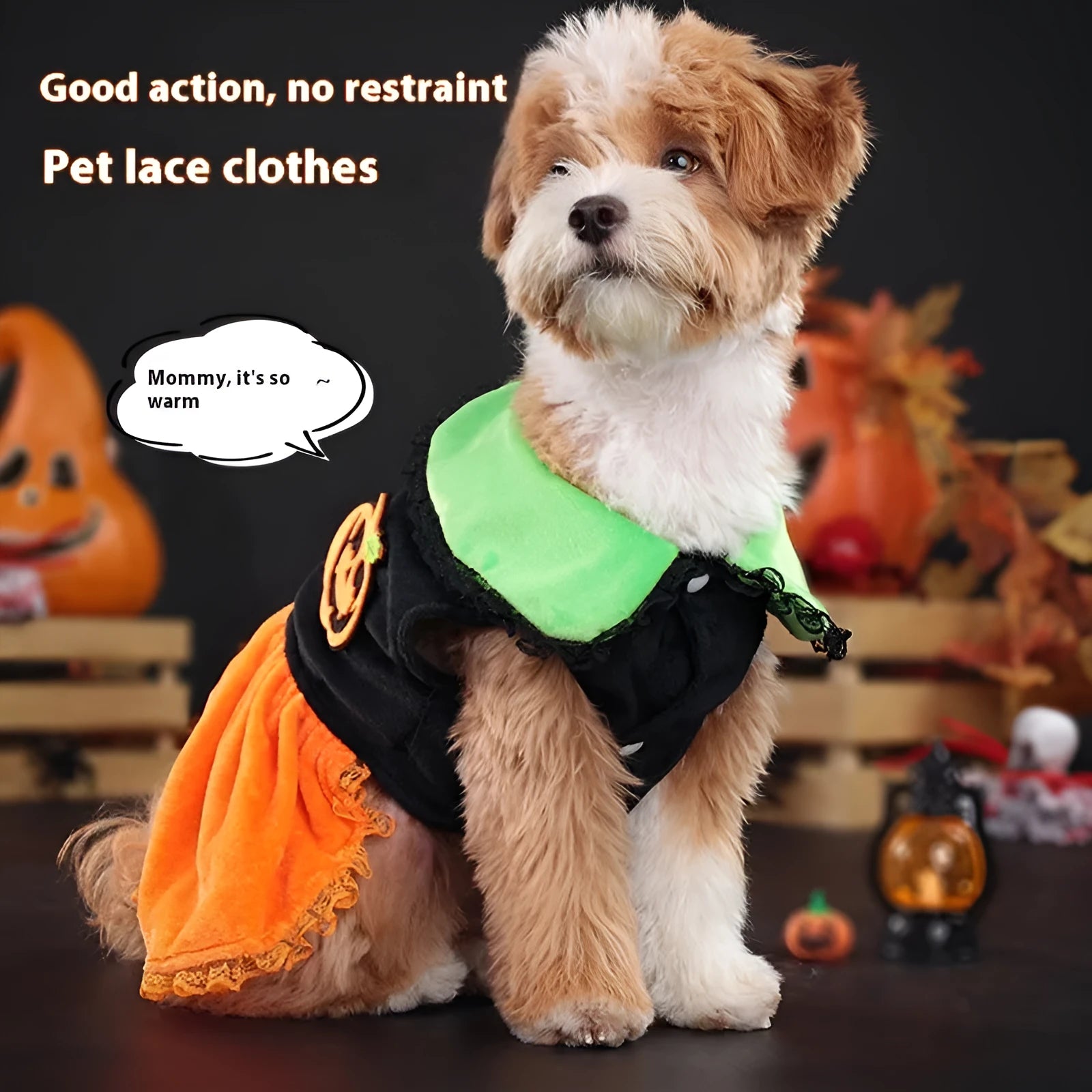 Small dog wearing a orange crystal velvet Halloween pumpkin skirt costume with green leaf accents.
