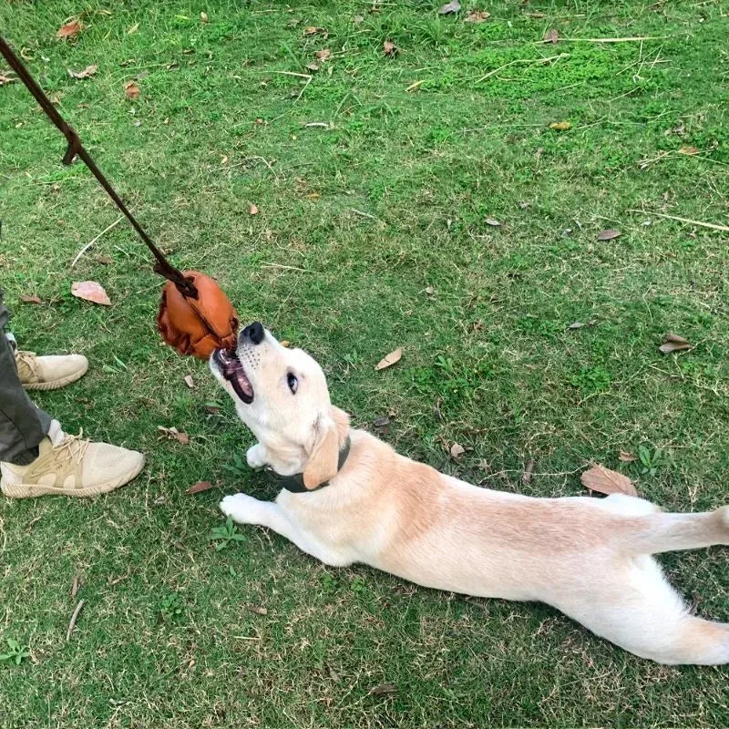 Leather dog training ball toy with handle, soft bite ball for puppy reward, tug toy for obedience training, colourful dog ball