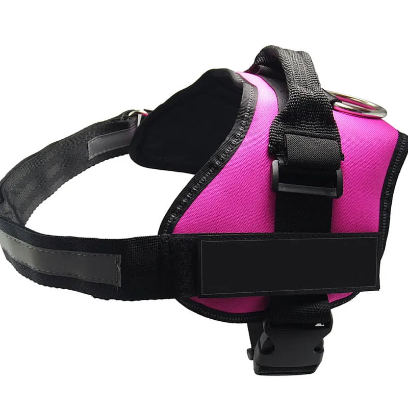 Reflective adjustable no-pull dog harness with chest strap and handle on a dog