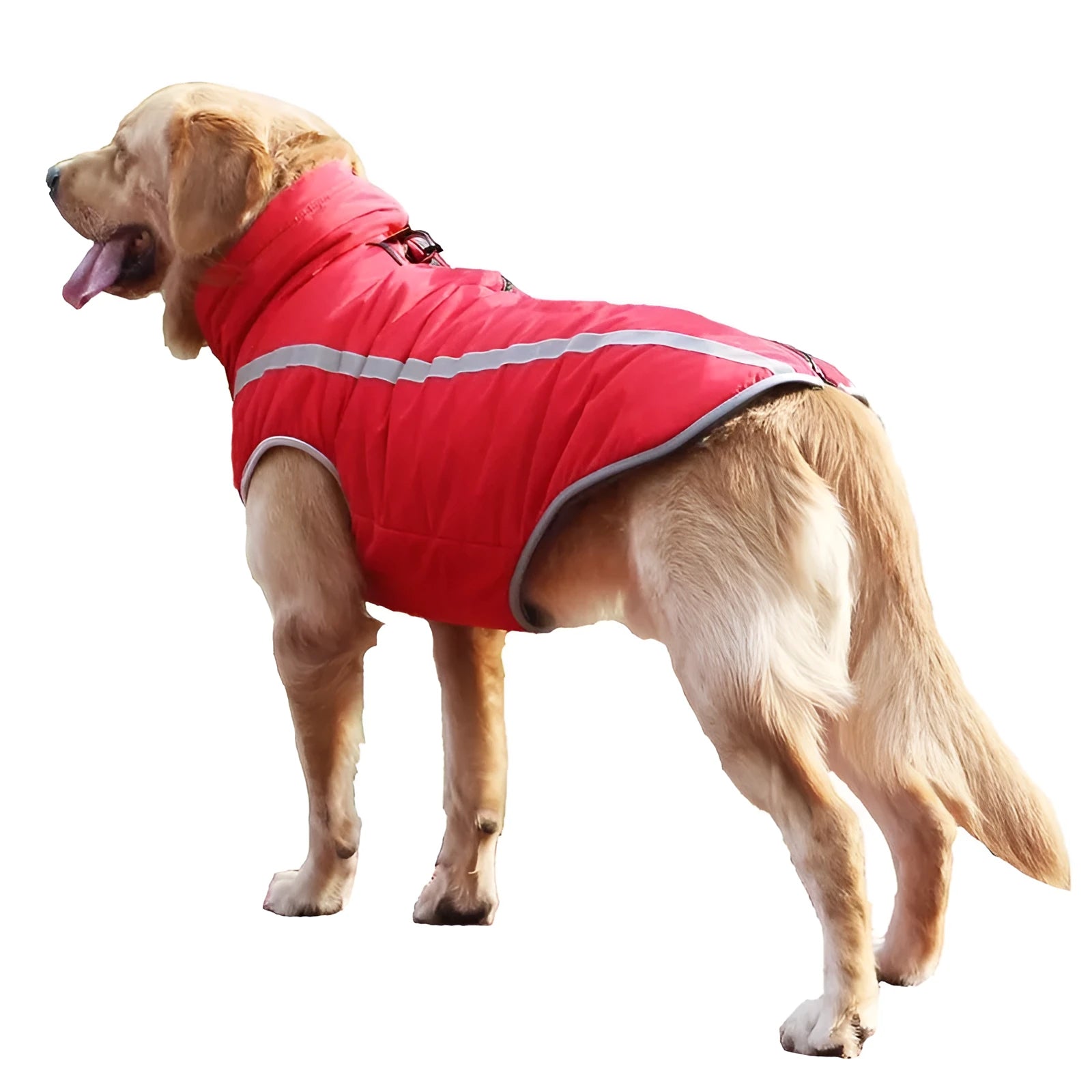 Thickened reversible polar fleece dog coat in blue for small to large dogs with windproof polyester shell