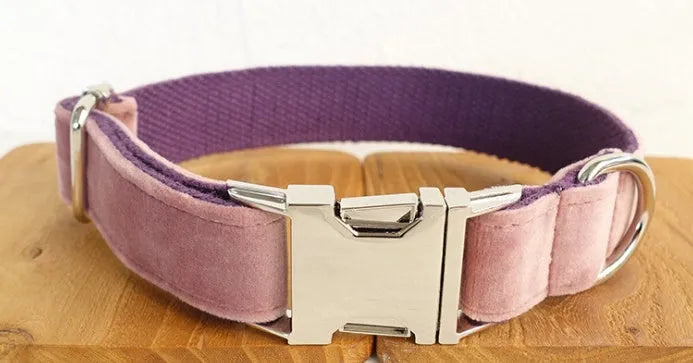 Adjustable nylon dog collar set in pink purple, five sizes from XS to XL for small to extra-large dogs