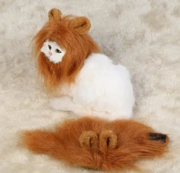 Small dog wearing a black lion mane hat with ears and scarf for a Halloween costume