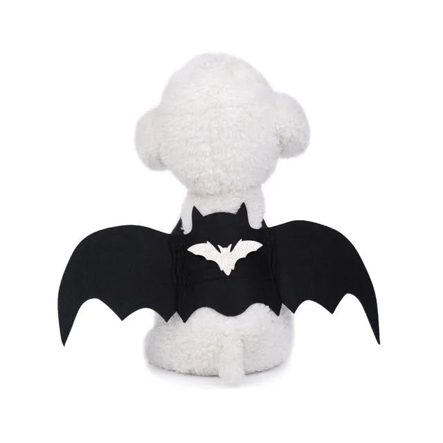Black bat wing pet costume on dog, polyester felt fabric, Halloween outfit with wing shape