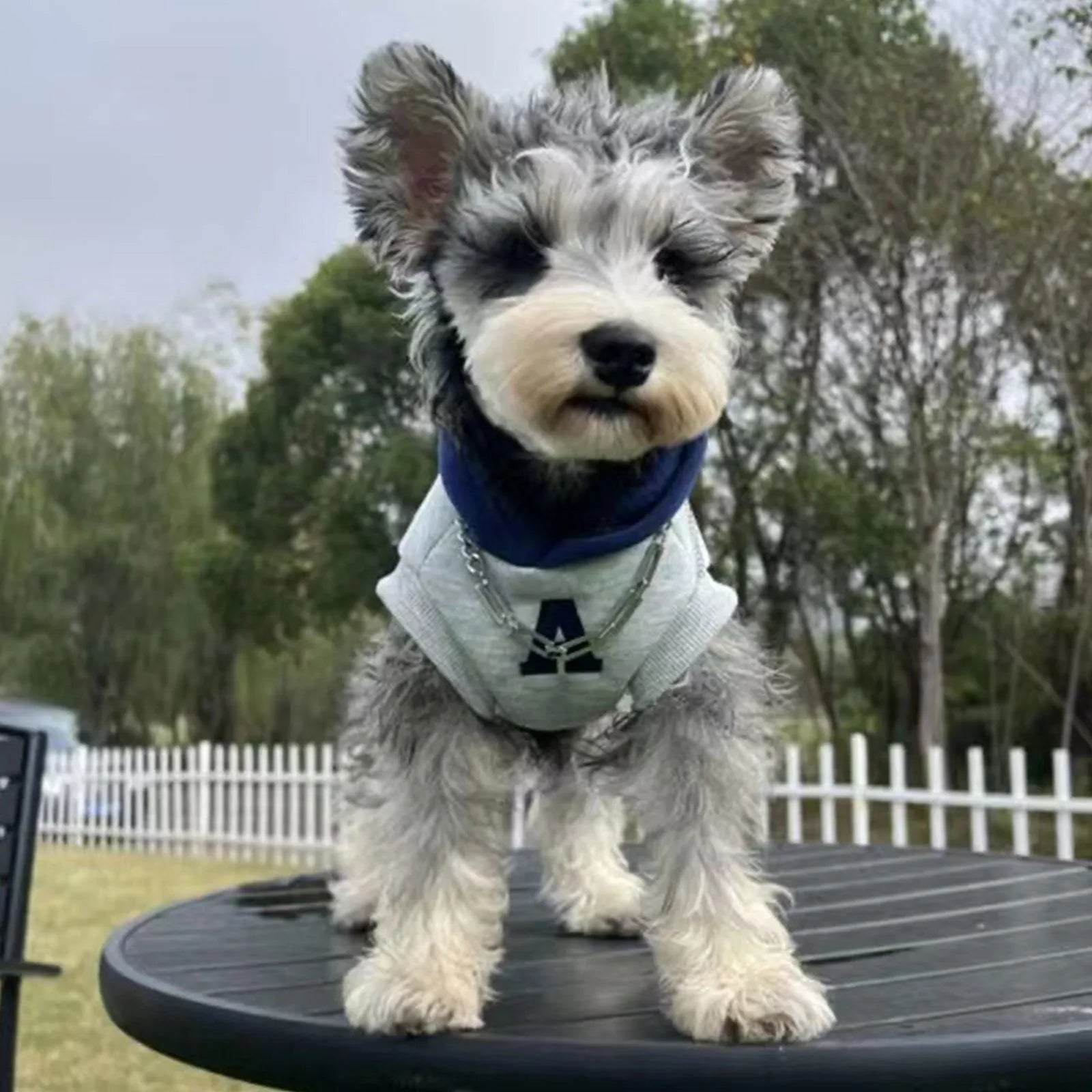 Blue and grey-white reflective letters pet hoodie for dogs and cats on mannequin