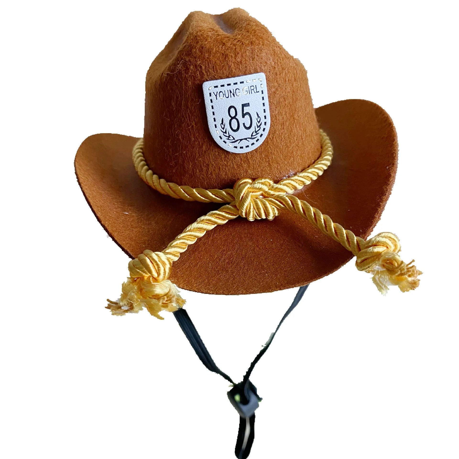 British cowboy hat for dogs and cats with decorative trim options