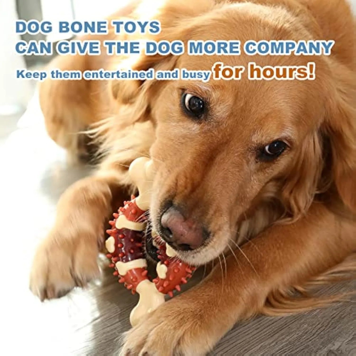 A bone-shaped natural rubber dog molar chew toy shown in two sizes for teeth grinding.