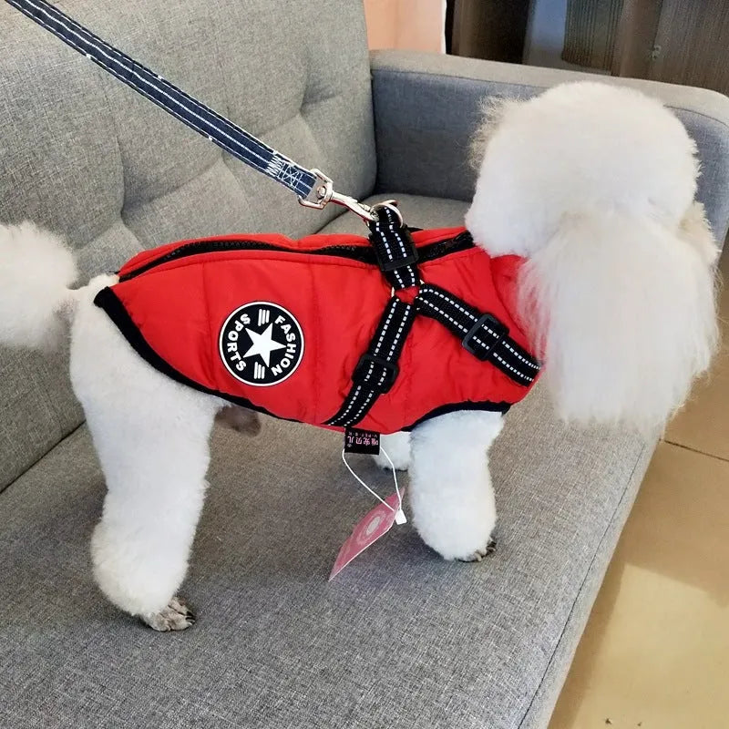Waterproof dog coat with integrated harness in red, shown on a dog
