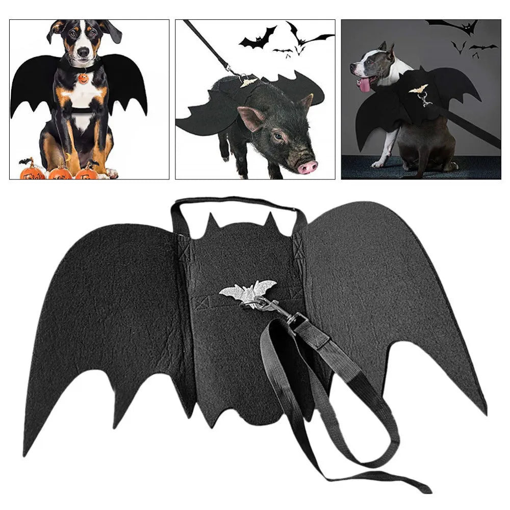Black bat wing pet costume on dog, polyester felt fabric, Halloween outfit with wing shape