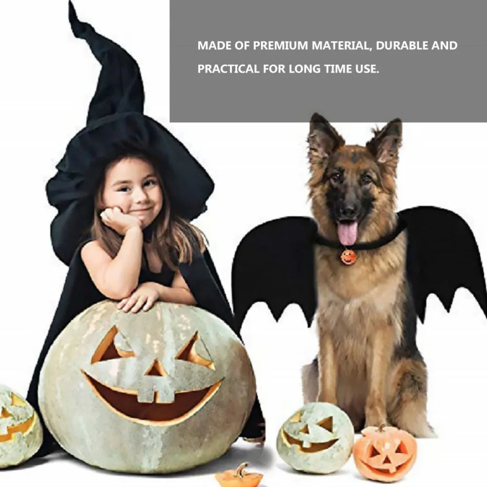 Black bat wing pet costume on dog, polyester felt fabric, Halloween outfit with wing shape
