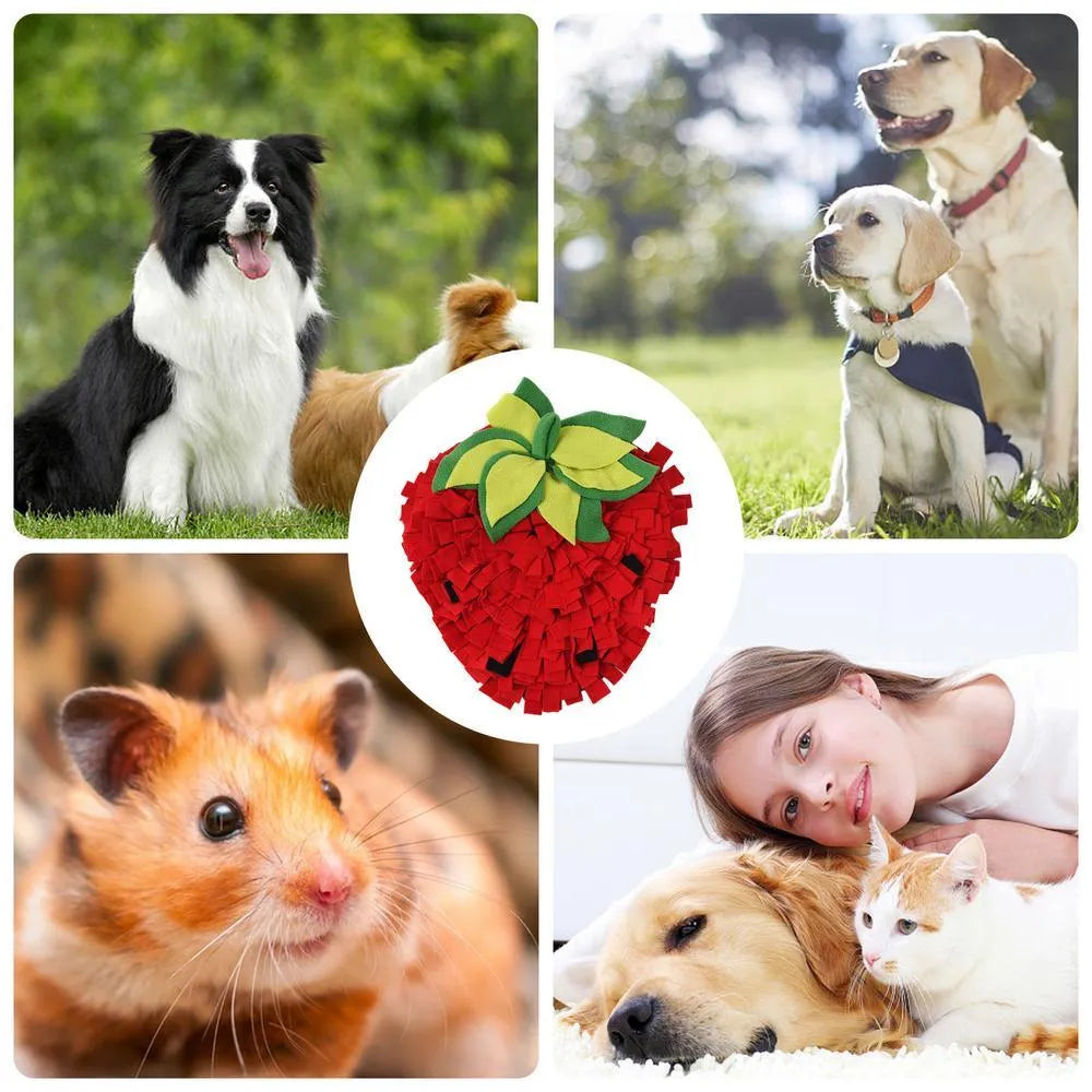 Red and green strawberry-shaped snuffle mat for dogs and cats on a floor.