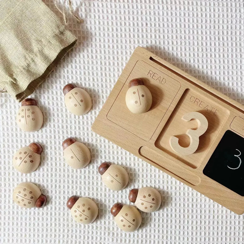 Beech ladybird digital teaching aid toy for children aged 4-6 years old