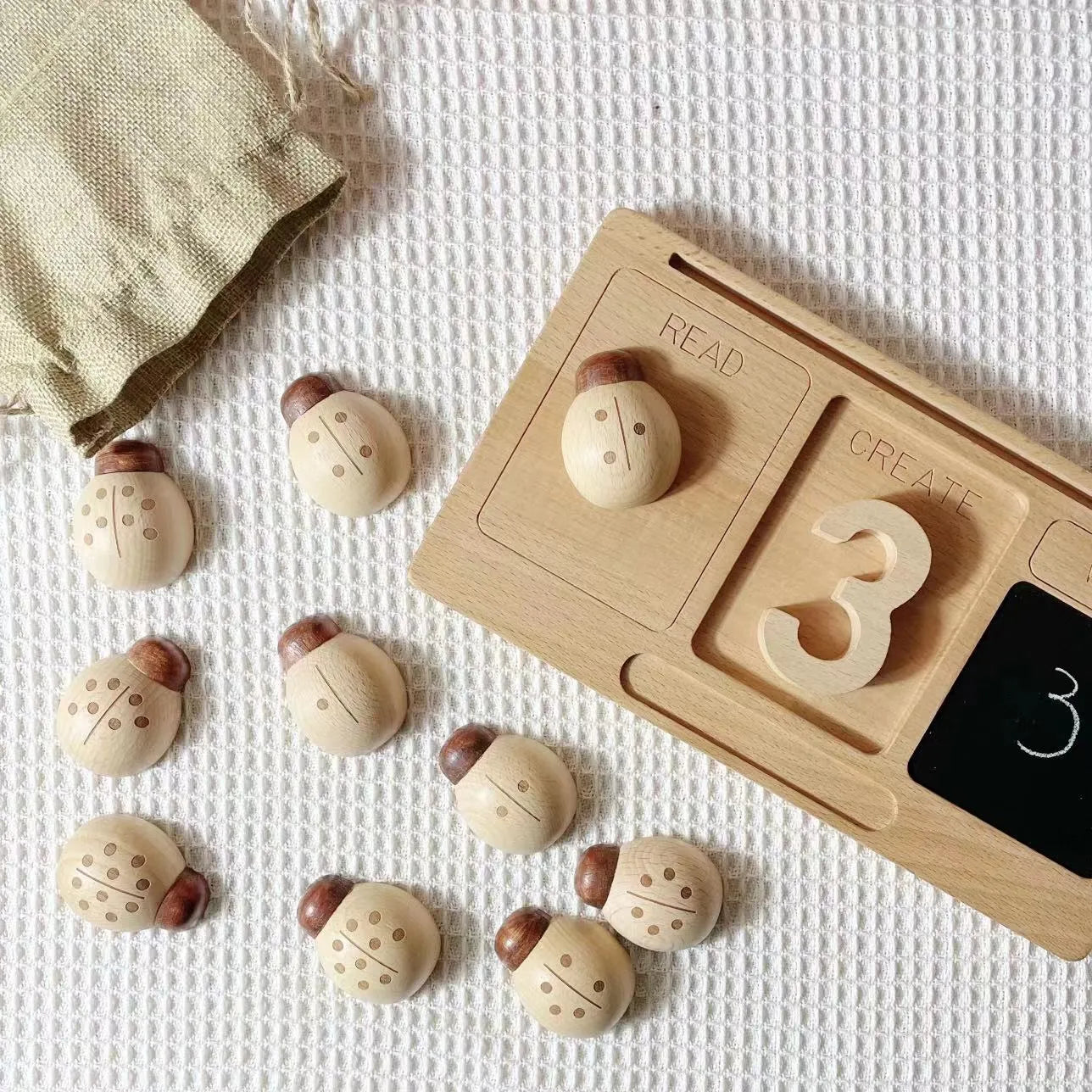 Beech ladybird digital teaching aid toy for children aged 4-6 years old